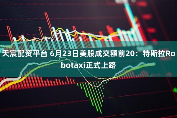 天宸配资平台 6月23日美股成交额前20：特斯拉Robotaxi正式上路