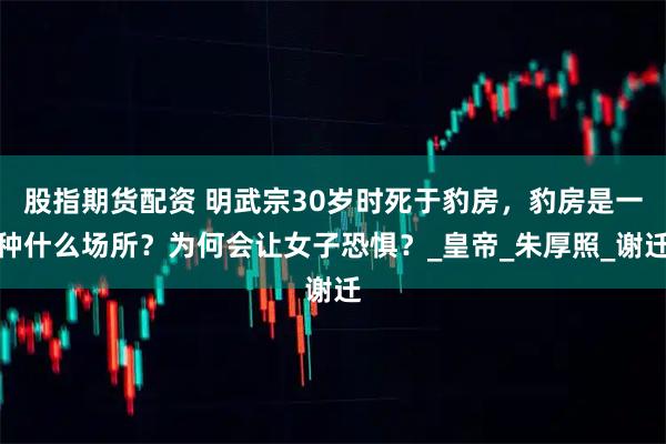 股指期货配资 明武宗30岁时死于豹房，豹房是一种什么场所？为何会让女子恐惧？_皇帝_朱厚照_谢迁